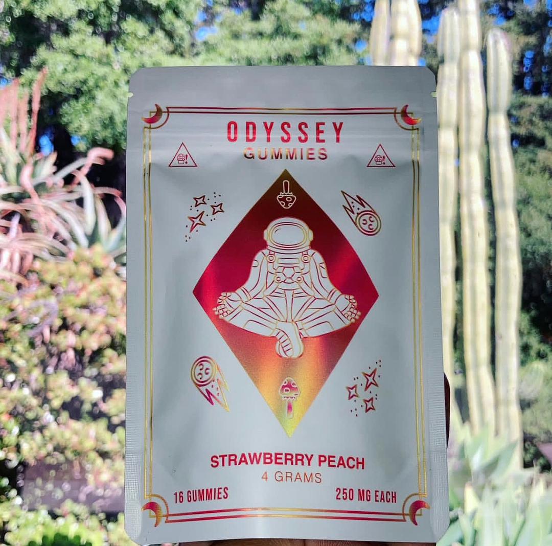 Odyssey Chocolates | Odyssey Chocolates Bars | Odyssey Bars | Odyssey Psychedelic Chocolates | Odyssey Chocolates Official | Odyssey Mushroom Chocolate bar | Odyssey Gummies
